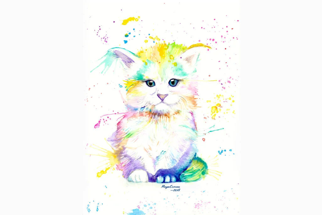 cat-mitsy.jpg