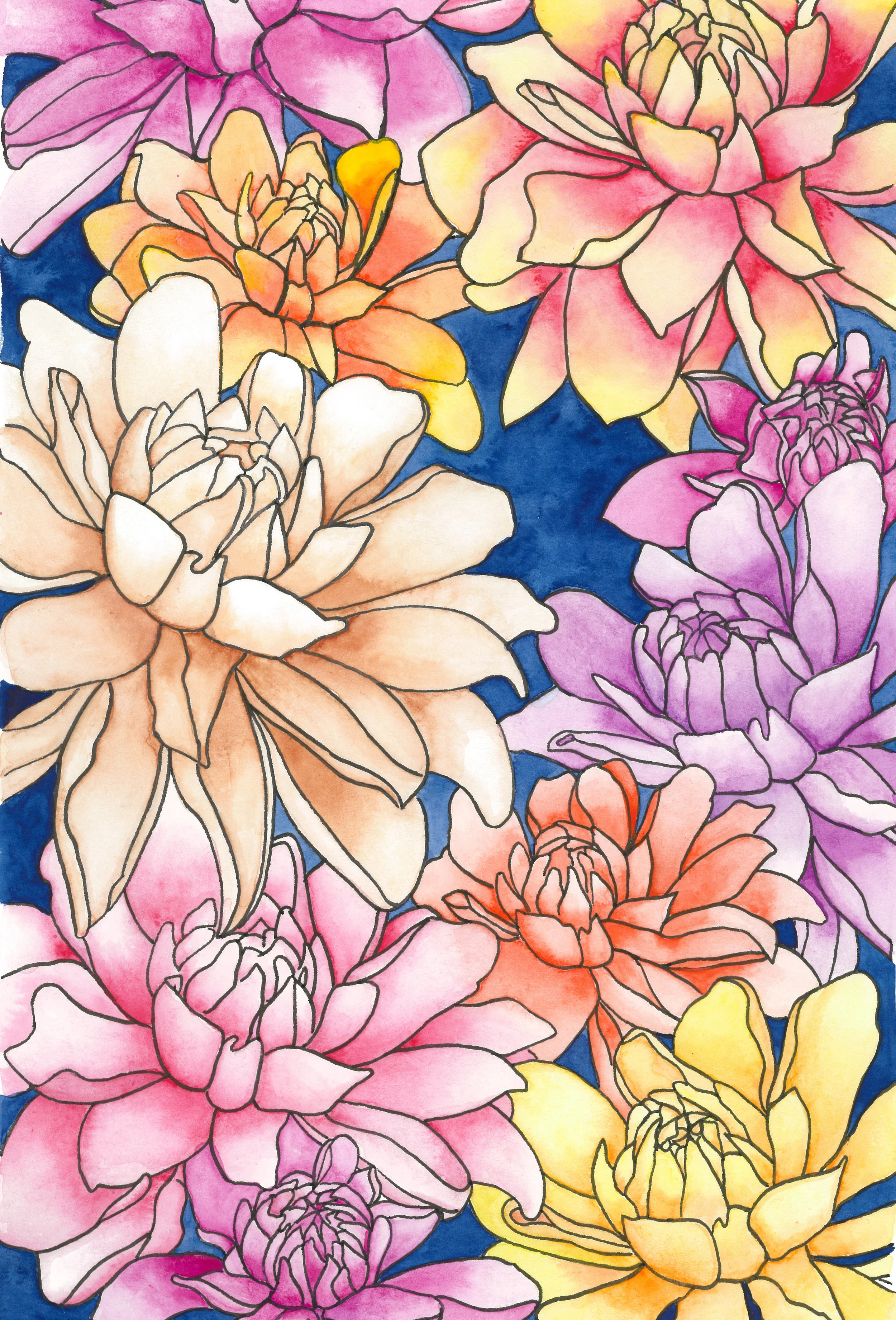 peonies-6500.jpg