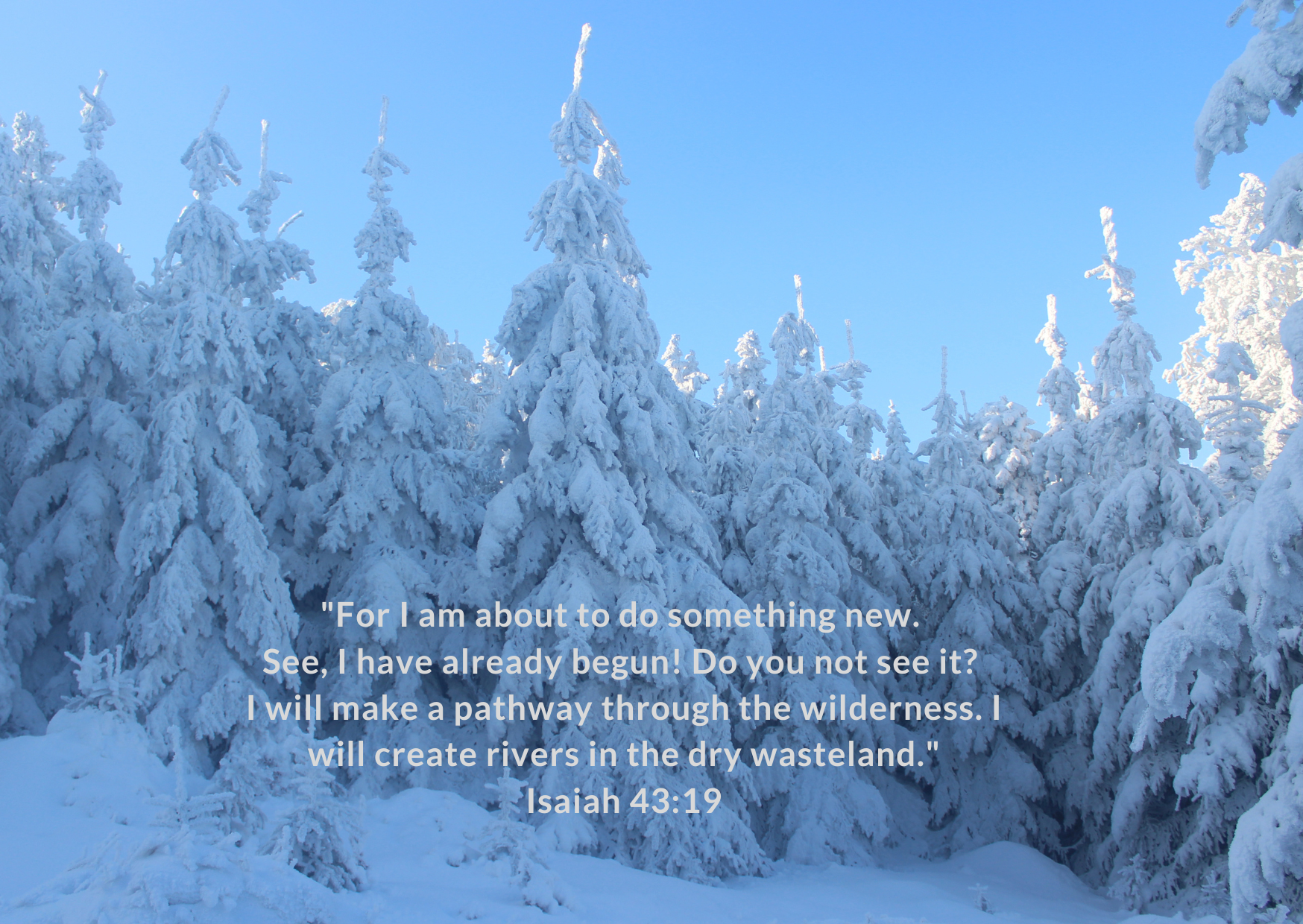 happy new year (1).png