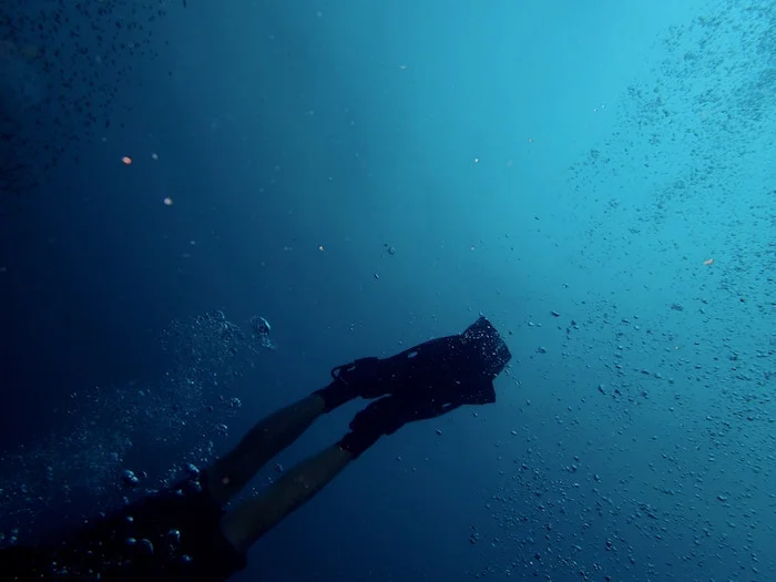 Caribbean Diving underwater fins gratitude