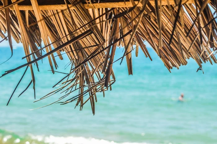 Caribbean Misadventures
