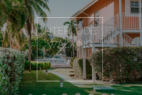 Interlude: Walking