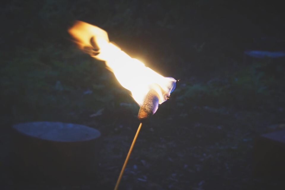 Épi de quenouille servant à fabriquer un flambeau