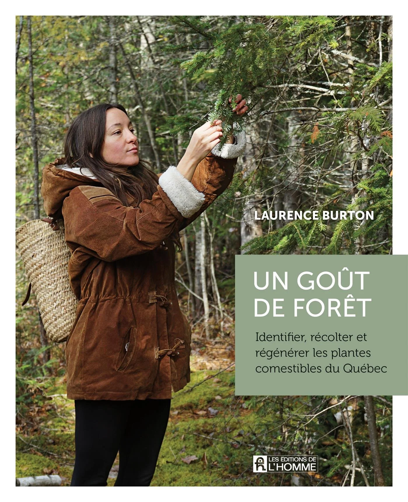 Livre "Un goût de forêt: Identifier, récolter et régénérer les plantes comestibles du Québec"