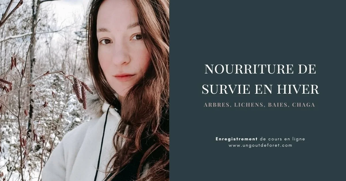 Enregistrement du cours en ligne: Nourriture de survie en hiver - 1h30