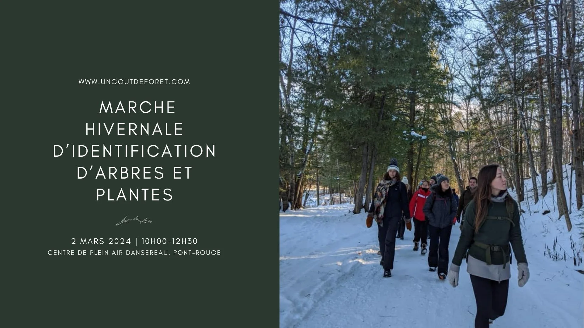 Marche hivernale d'identification d'arbres et plantes - 2 mars 2024 - 10h00 à 12h30 - Centre de plein air Dansereau de Pont-Rouge