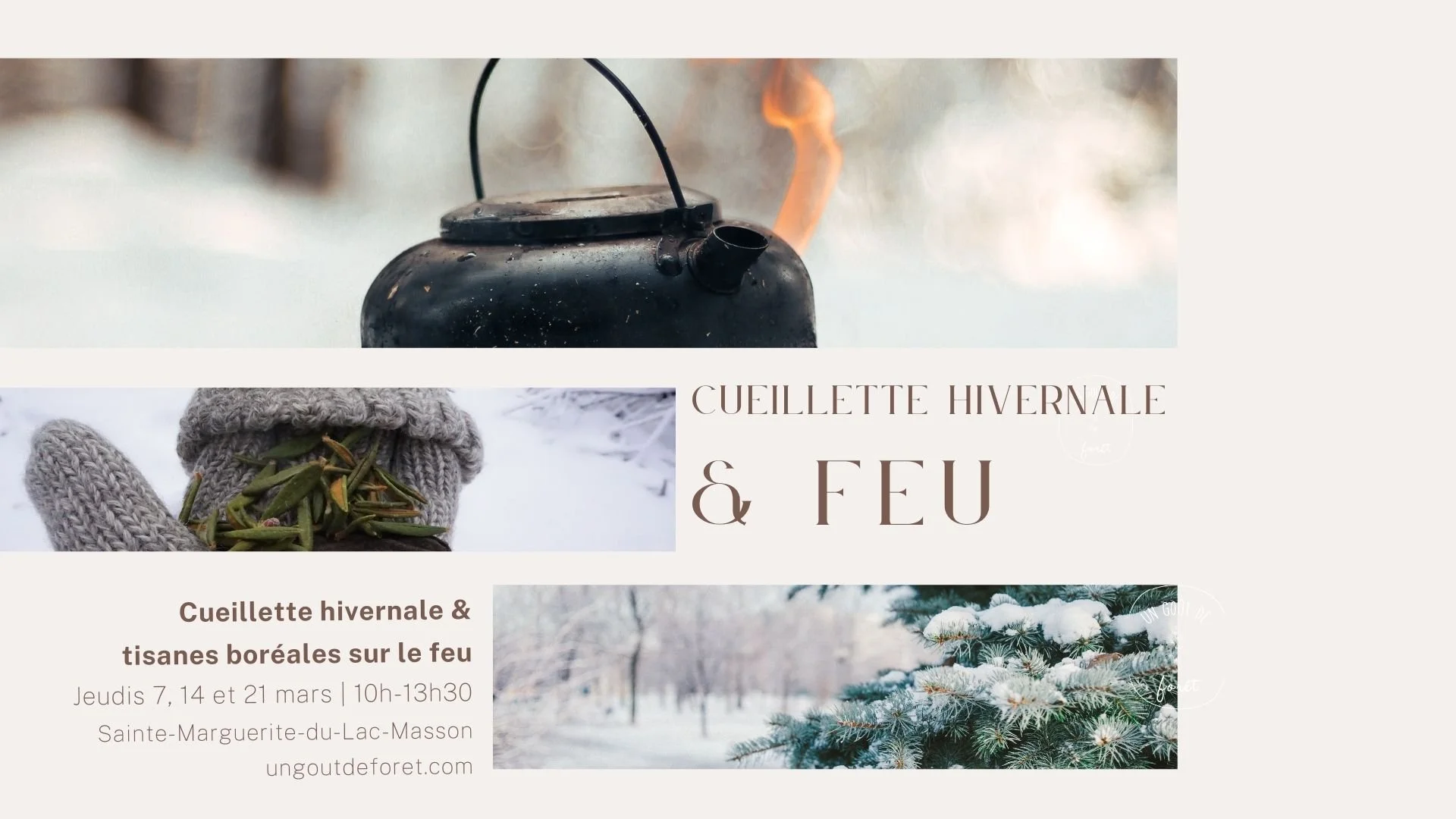 Cueillette hivernale et feu - 10h00 à 14h00 - Sainte-Marguerite-du-Lac-Masson - Vendredi 8 mars 2024