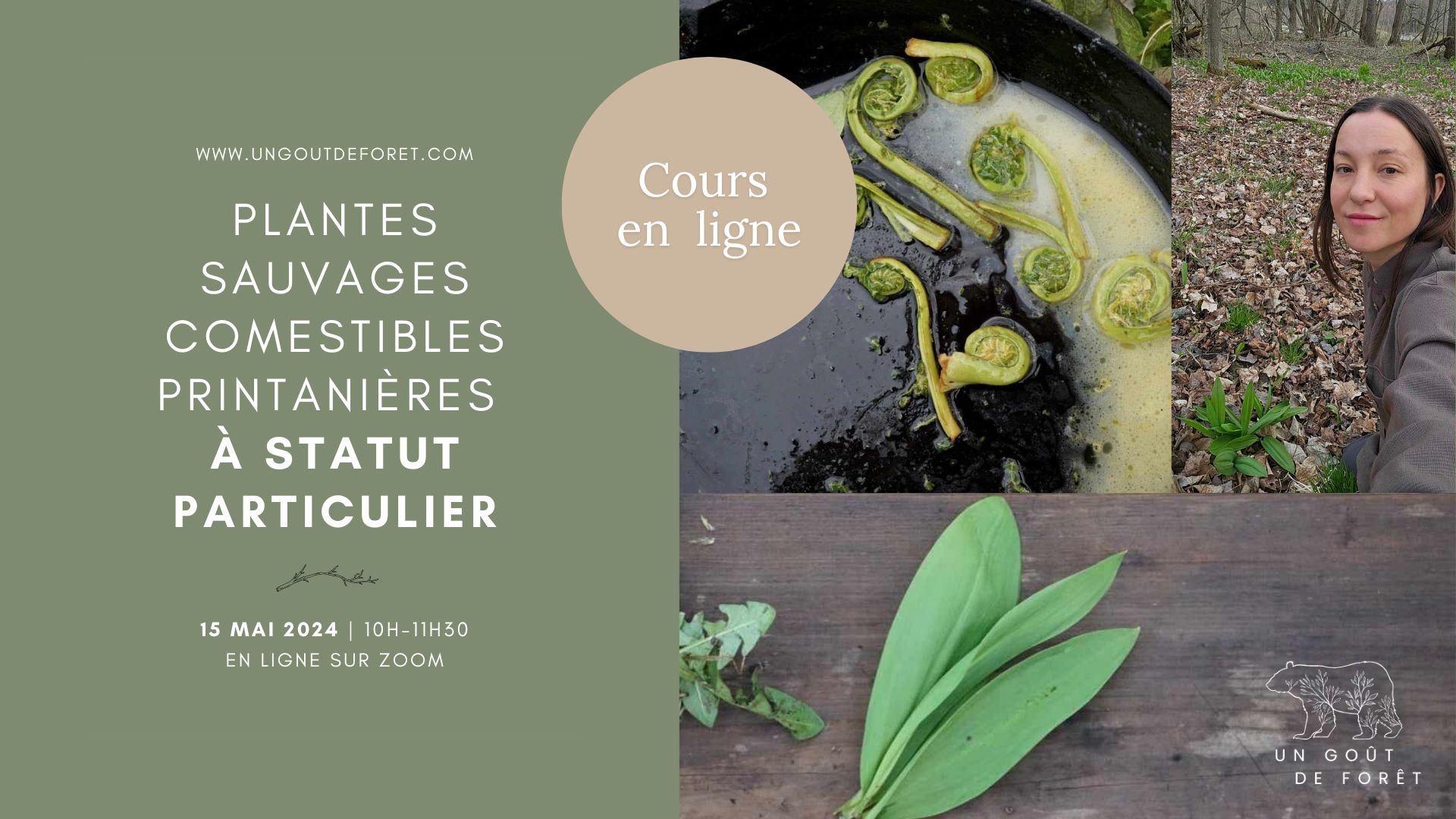 ANNULÉ - Cours en ligne - Plantes sauvages comestibles printanières à statut particulier -15 mai 2024 - 10h à 11h30