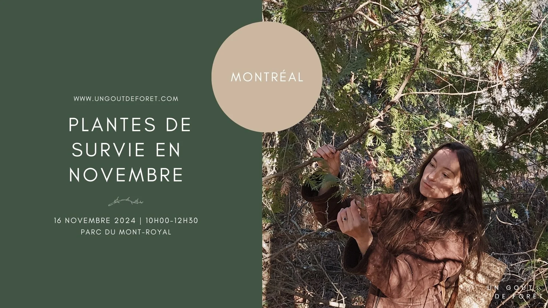 Plantes de survie en novembre - 16 novembre 2024 - 10h00 à 12h30 - Montréal