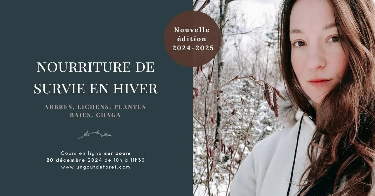 Nourriture de survie en hiver – nouvelle édition – cours en ligne sur zoom – 20 décembre 2024 de 10h à 11h30