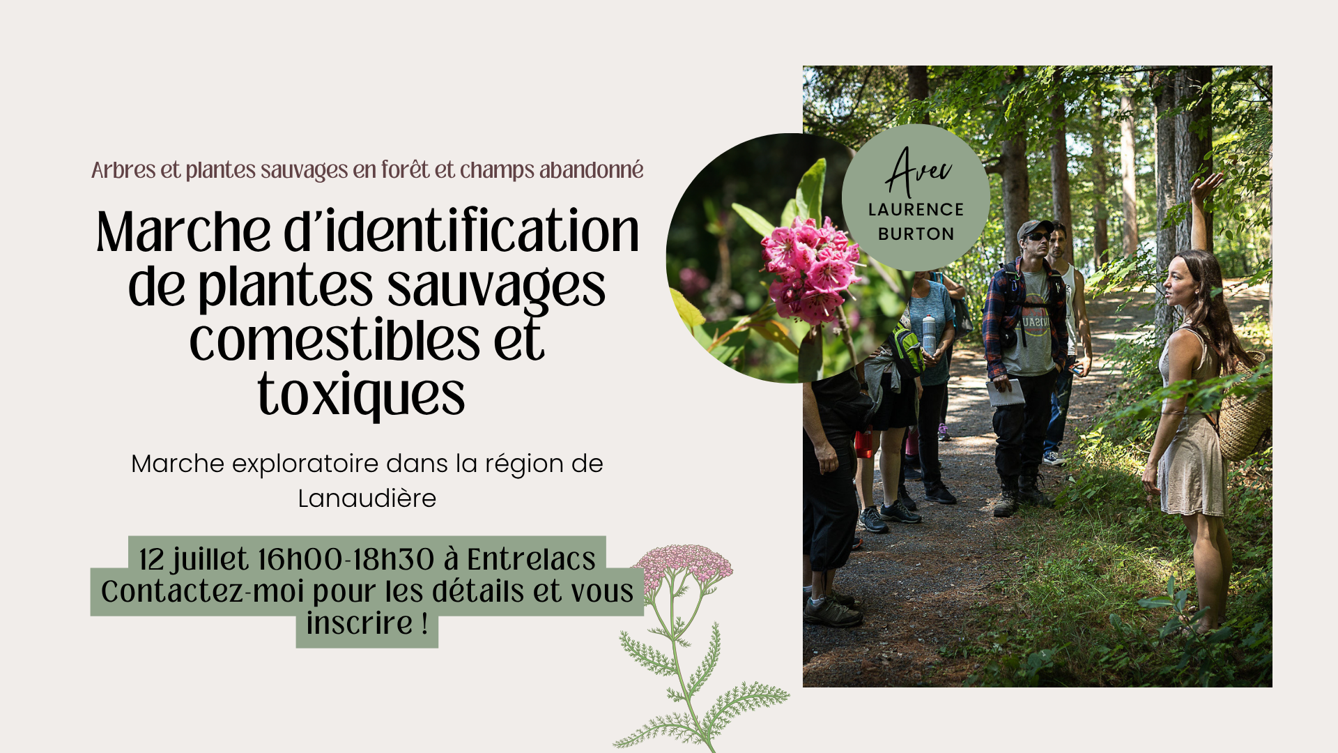 Marche d'identification de plantes sauvages comestibles et toxiques - 12 juillet 2025 - 16h à 18h30 - Entrelacs