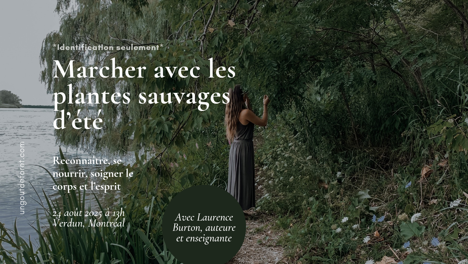 Marcher avec les plantes sauvages d'été - 24 août - 13h à 16h - Montréal