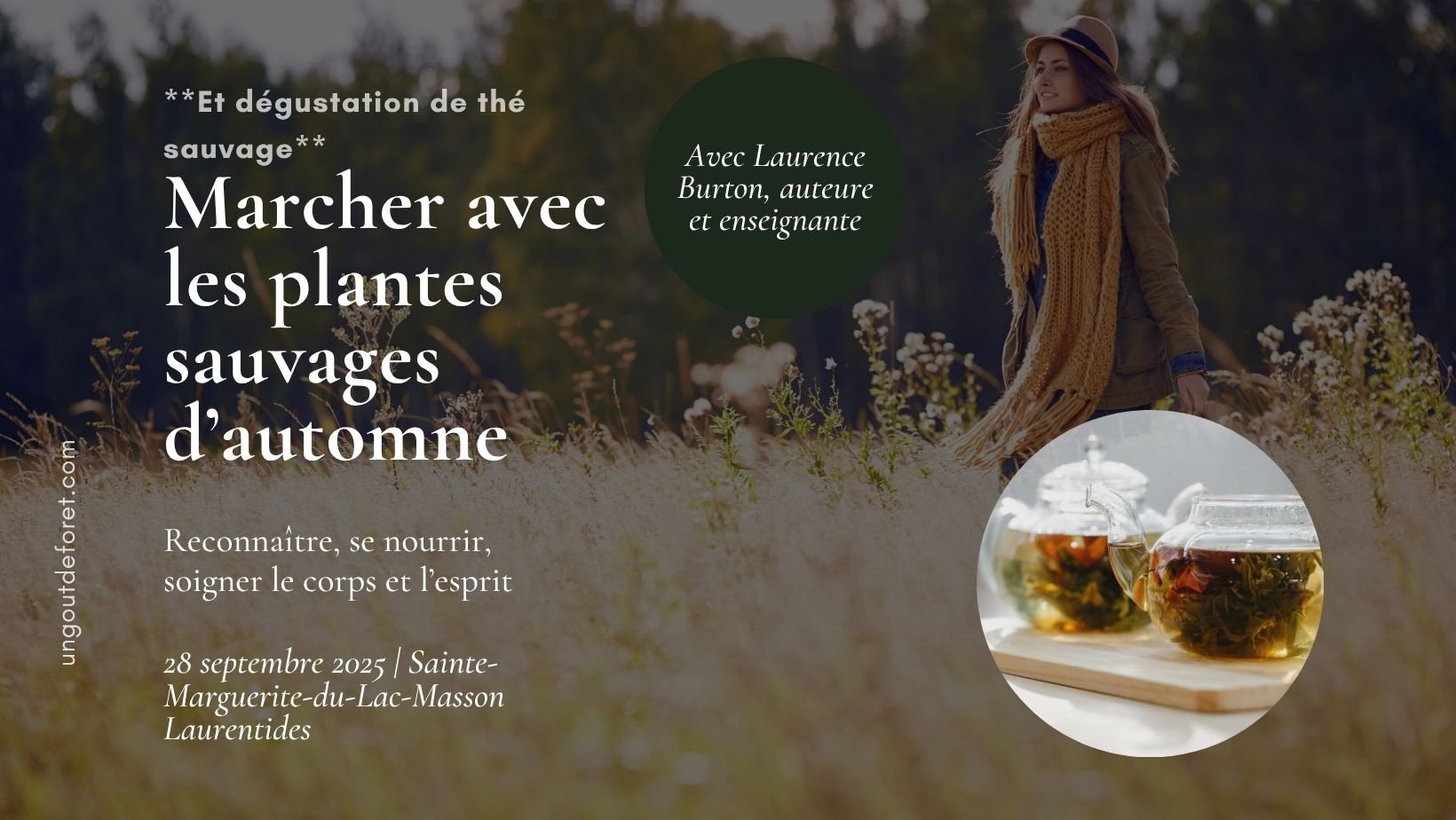 Marcher avec les plantes sauvages d'automne et thé sauvage - 28 septembre - 10h à 13h - Laurentides