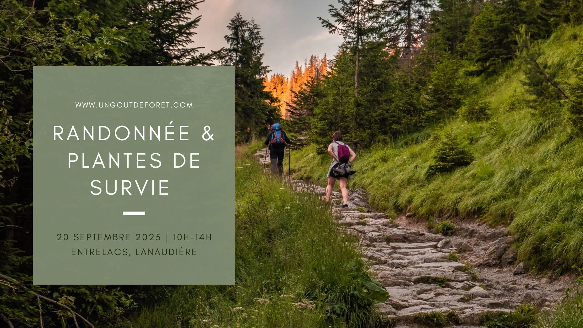 Randonnée &amp; Plantes de survie - 20 septembre 2025 - 10h à 14h - Entrelacs, Lanaudière