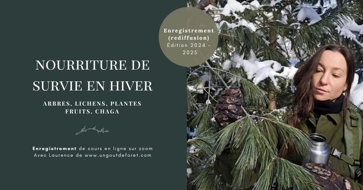 Nourriture de survie en hiver – enregistrement d'un cours en ligne sur zoom