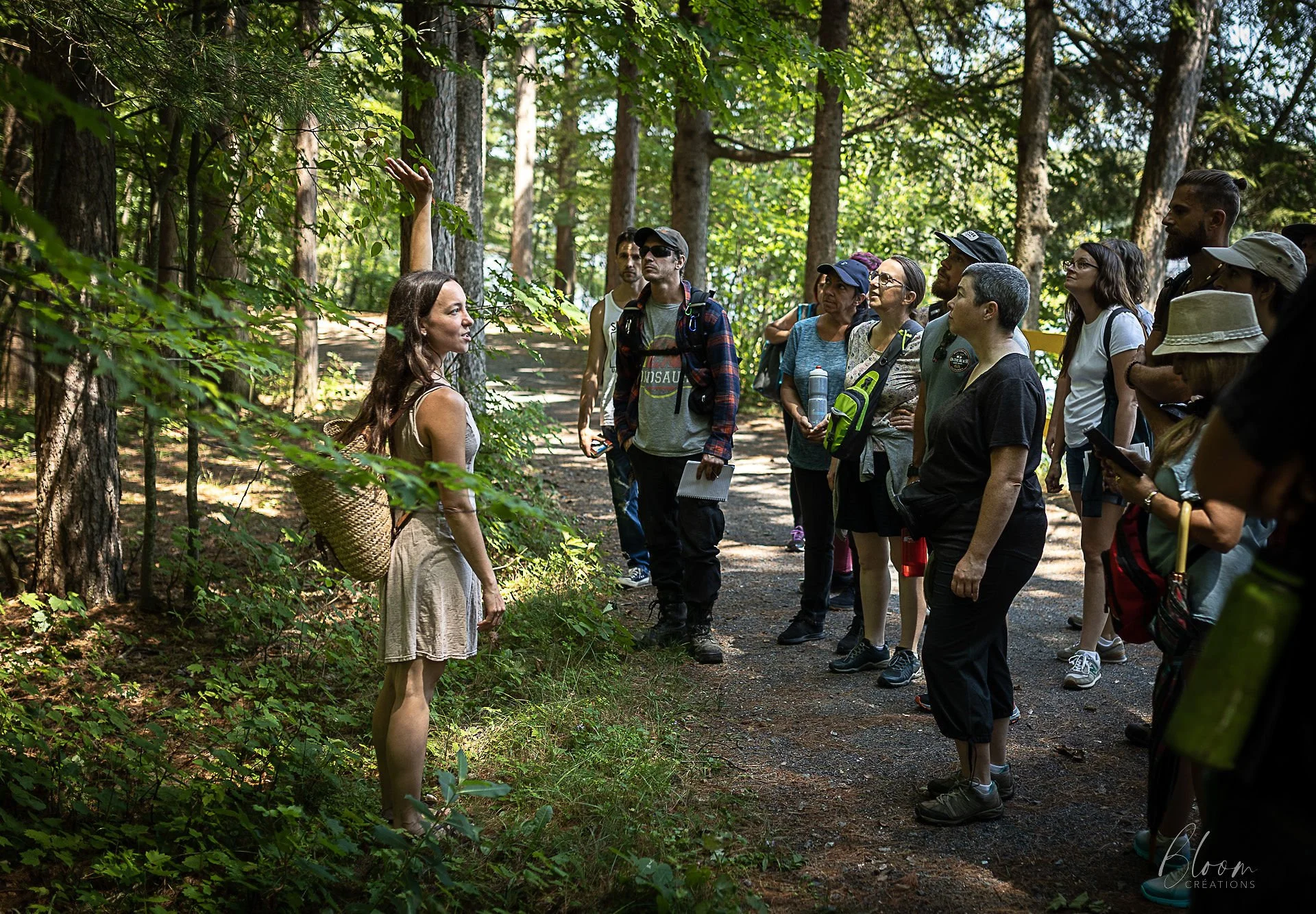 Randonnée guidée d'identification dans le Centre-du-Québec