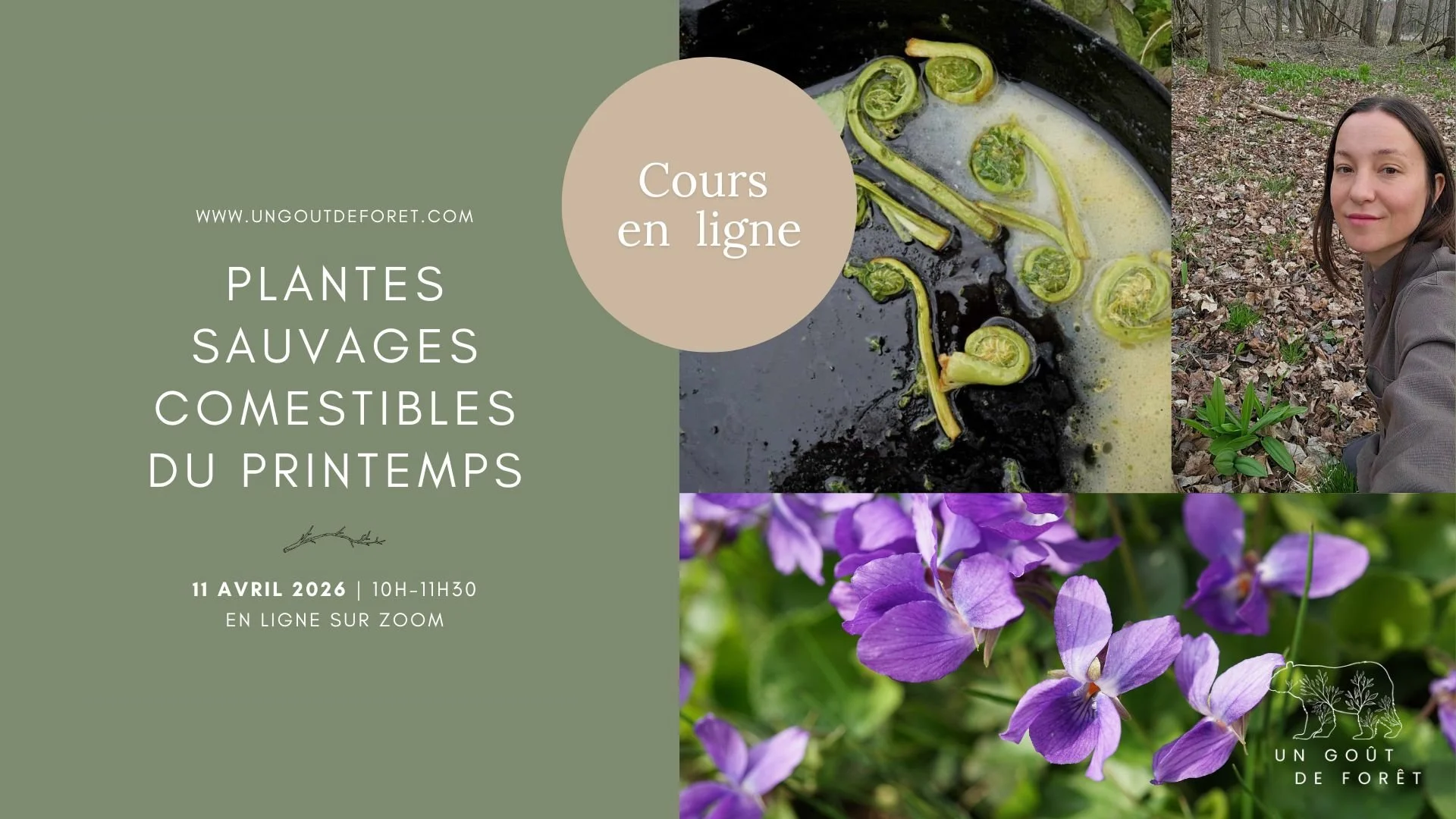 Plantes sauvages comestibles du printemps - Cours en ligne sur zoom - 11 avril 2026- 10h à 11h30