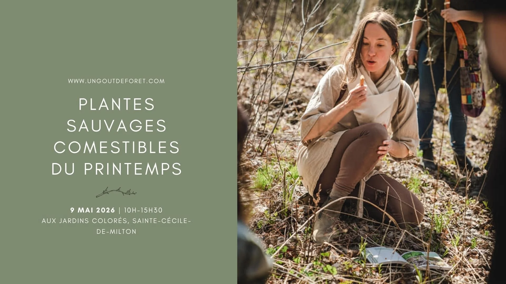 Plantes du printemps – 9 mai 2026 – 10h à 15h30 - Sainte-Cécile-de-Milton