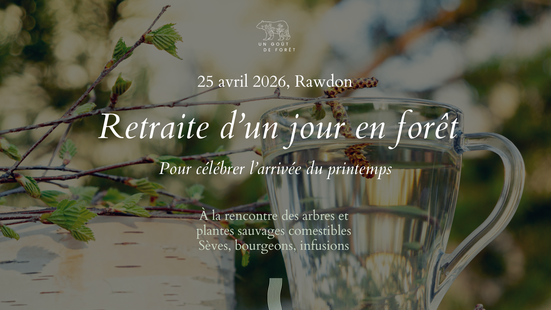 Retraite d'un jour en forêt - 25 avril 2026 - 10h à 16h30 - Rawdon
