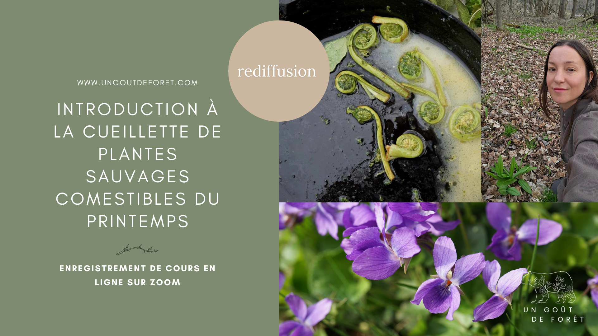Enregistrement de cours en ligne sur zoom - Introduction à la cueillette de plantes sauvages comestibles du printemps
