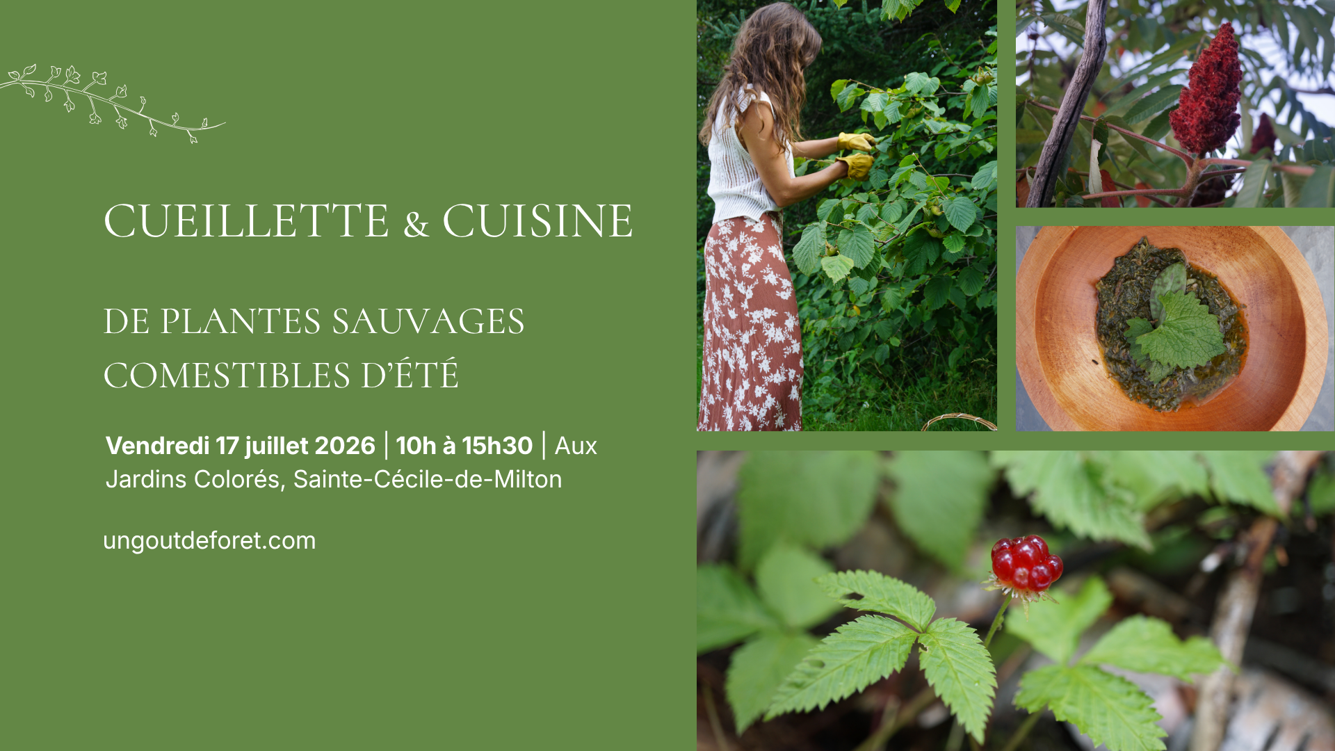 Plantes sauvages comestibles d’été – 17 juillet 2026 – 10h à 15h30 - Sainte-Cécile-de-Milton