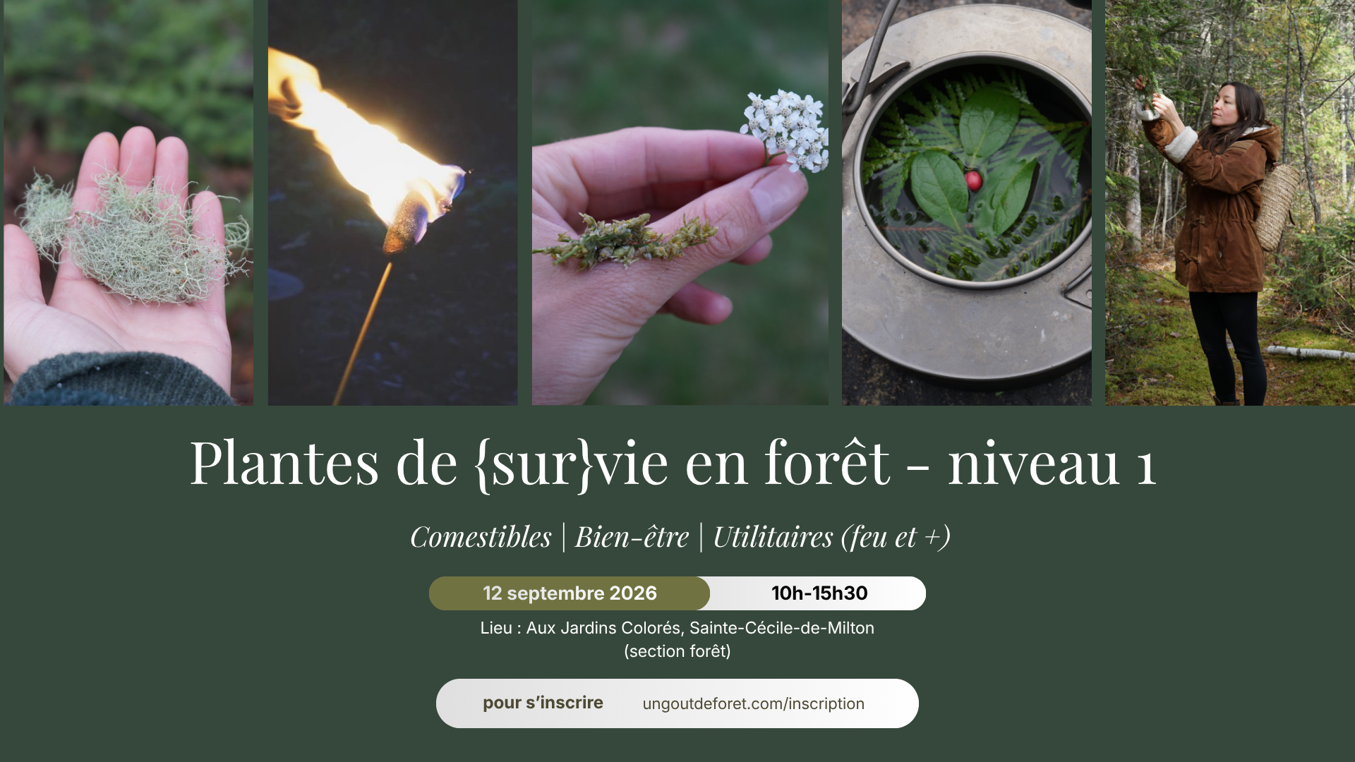 Plantes de {sur}vie en forêt - 12 septembre 2026 - 10h à 15h30 - Sainte-Cécile-de-Milton