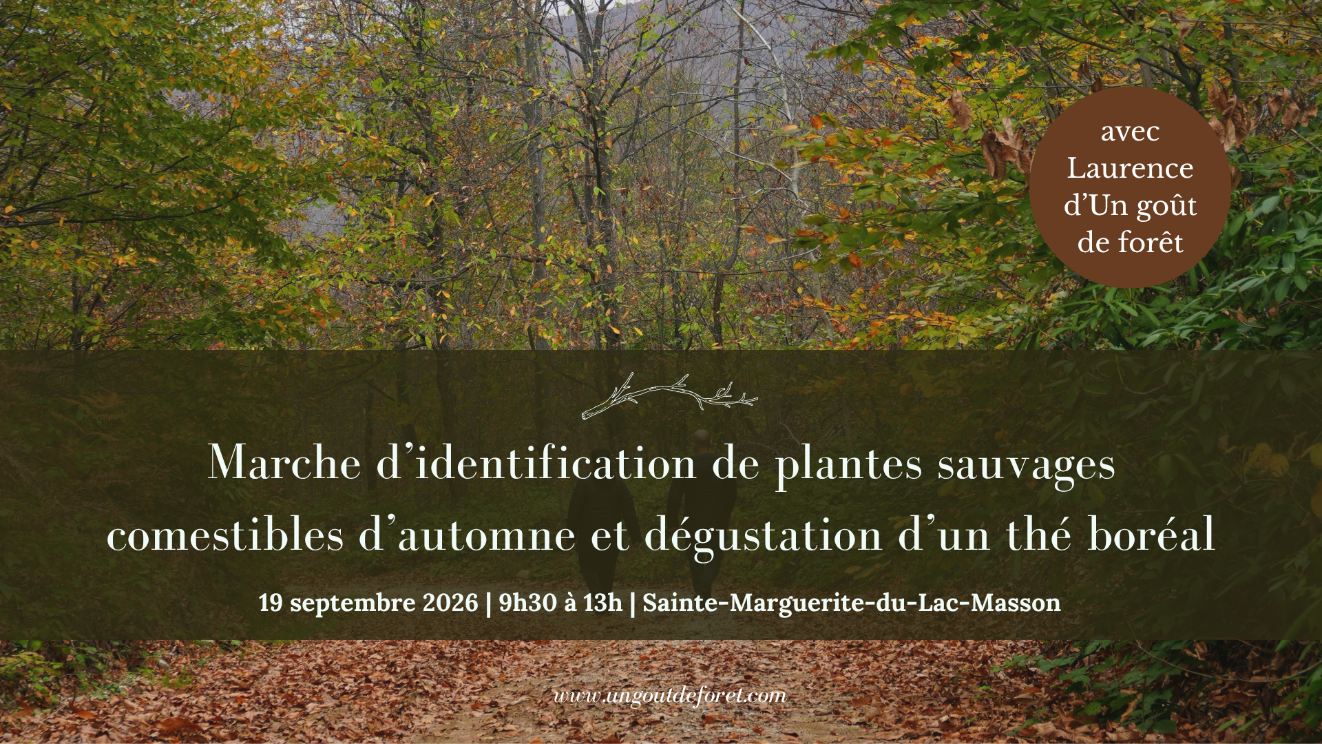Marche sur les plantes sauvages comestibles d'automne - 19 septembre 2026 - 9h30 à 13h - Laurentides