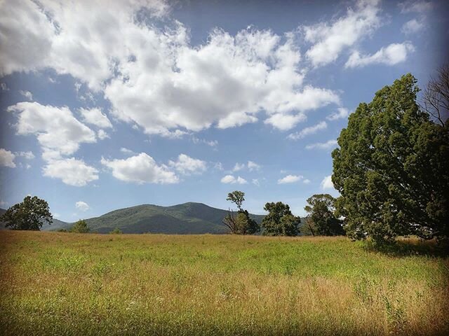 &ldquo;We abuse land because we regard it as a commodity belonging to us. When we see land as a community to which we belong, we may begin to use it with love and respect.&rdquo; - Aldo Leopold, A Sand County Almanac