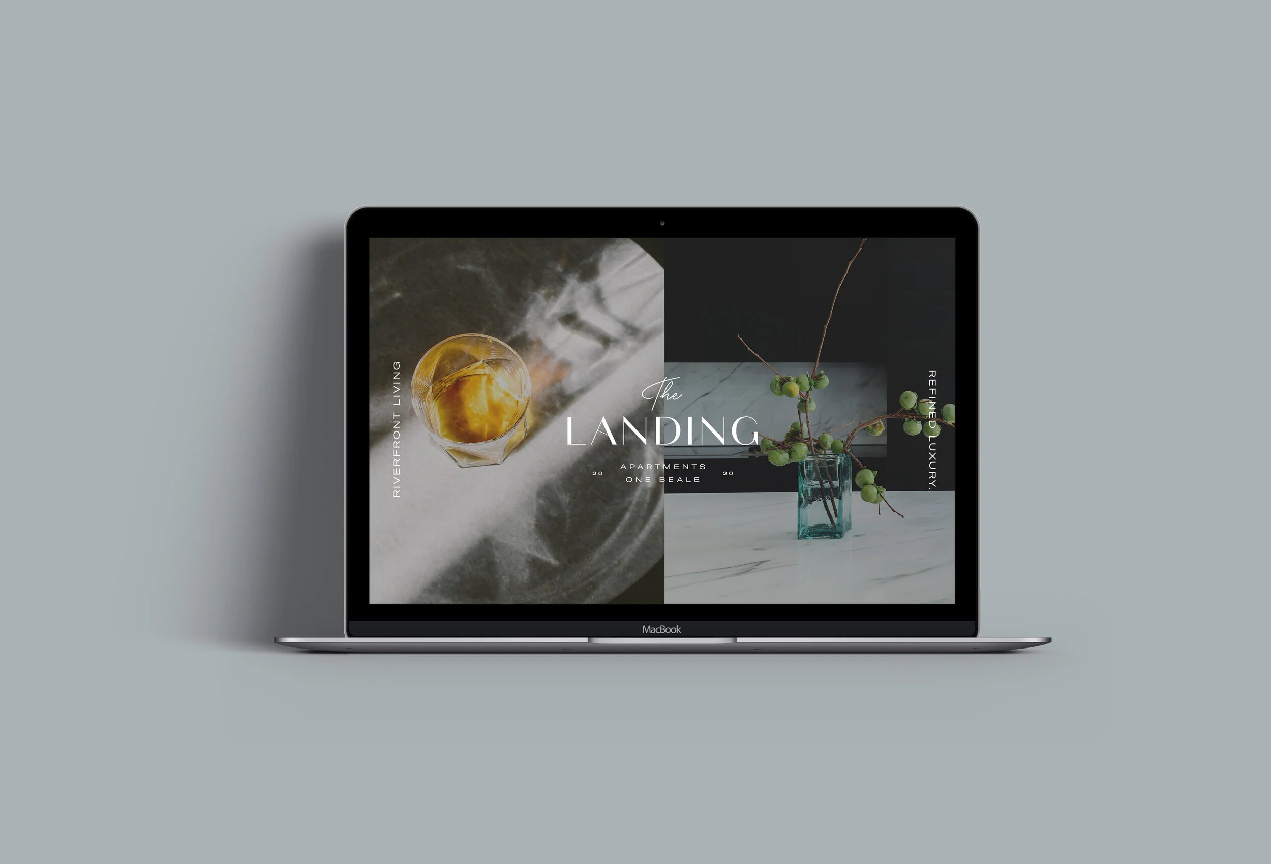 the landing cover.jpg