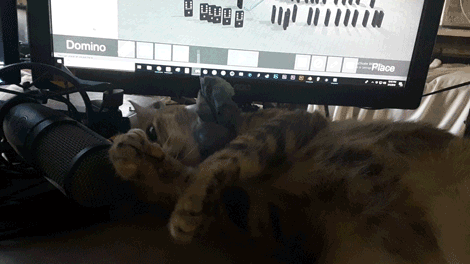 20190305_124520.gif