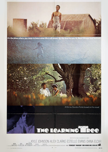 Learning-Tree-1969.jpg