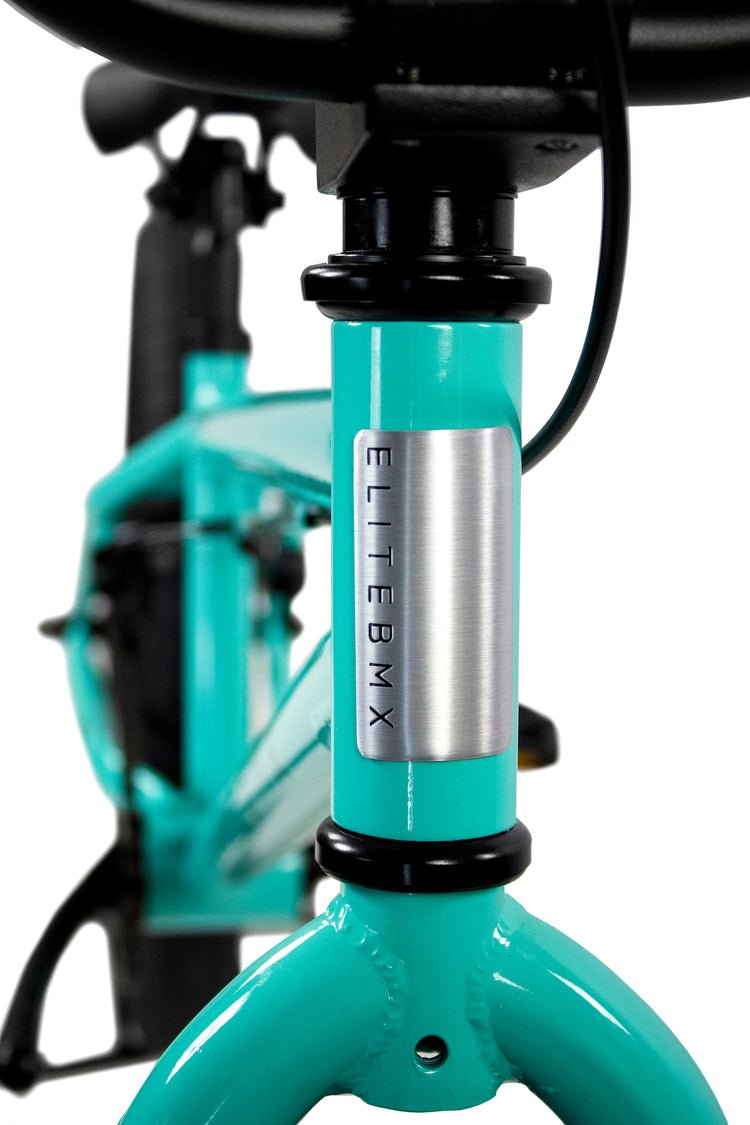 Elite BMX Stealth Complete BMX Bike Teal Pedal Action BMX elite-bmx-stealth-complete-bmx-bike-teal-pedal-action-bmx