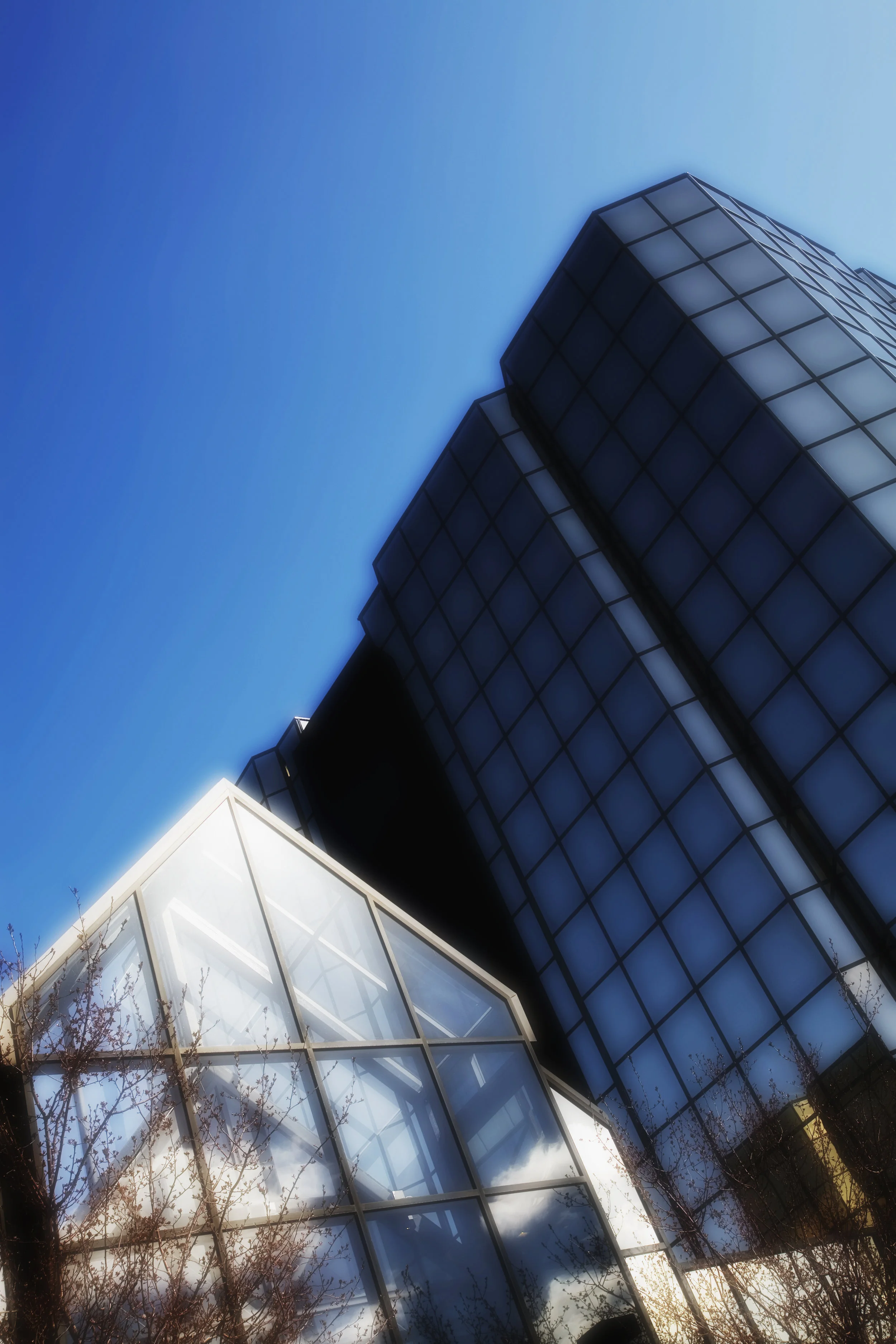 _MG_6310A.jpg