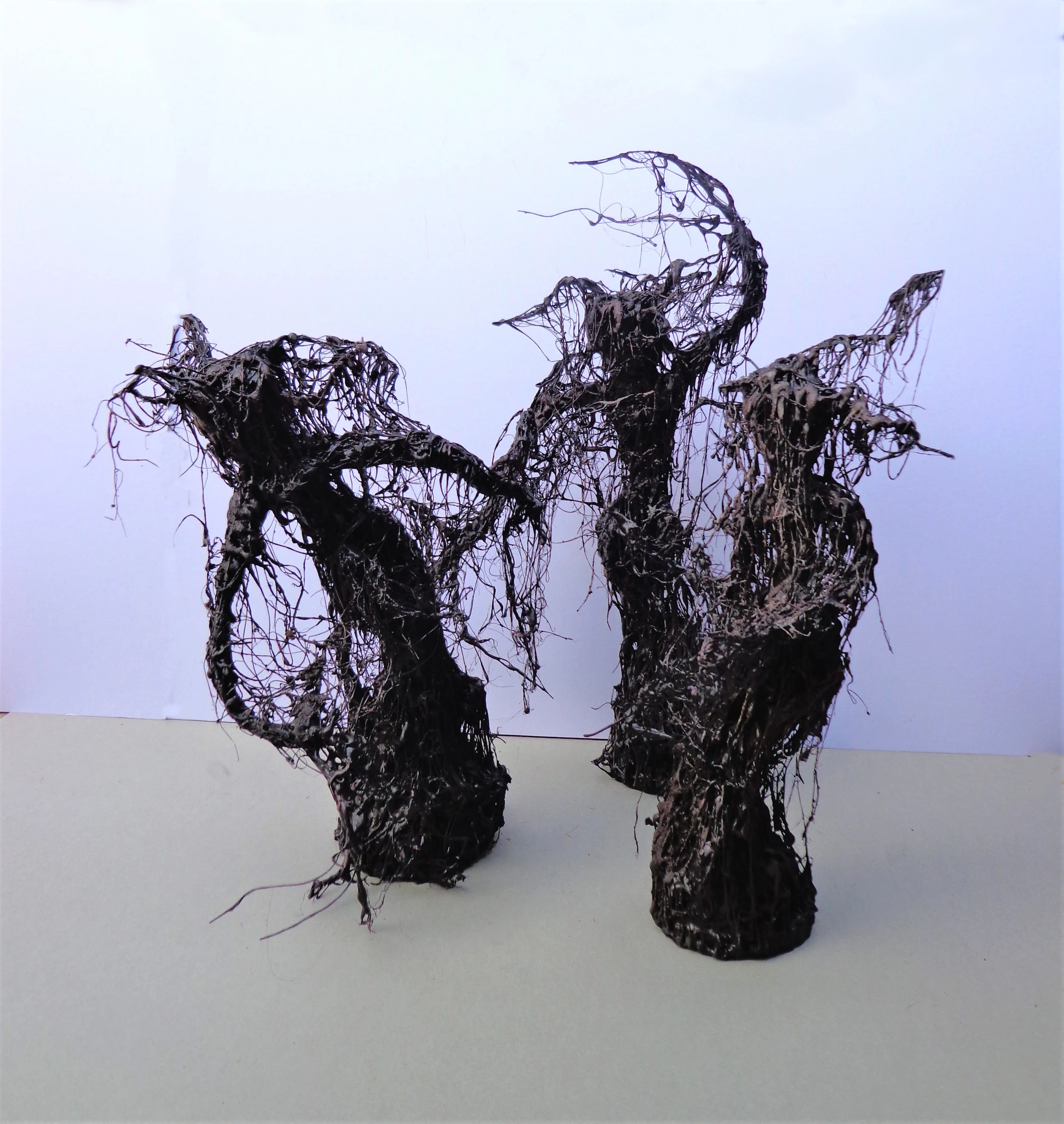 CarrieGrainger.Roots.Metal wire, foil, plaster, hot glue, acrylic, soil and water.40cmx44cm.20cmx32cm.2017-2019.jpg