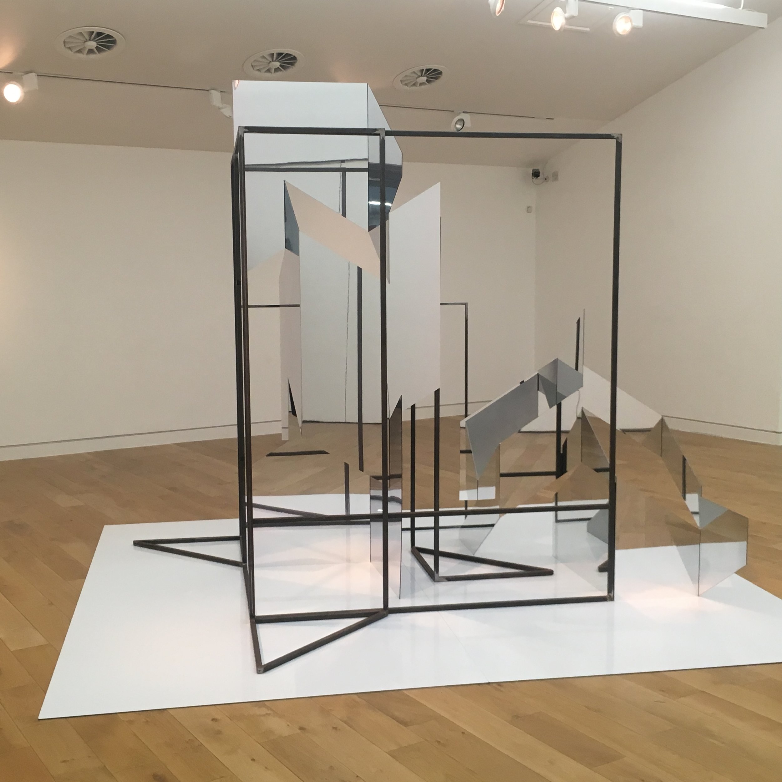 Rosalind Davis and Justin Hibbs. Border Controls at SVAF.Mixed Media. Dimensions Variable.2019.jpg