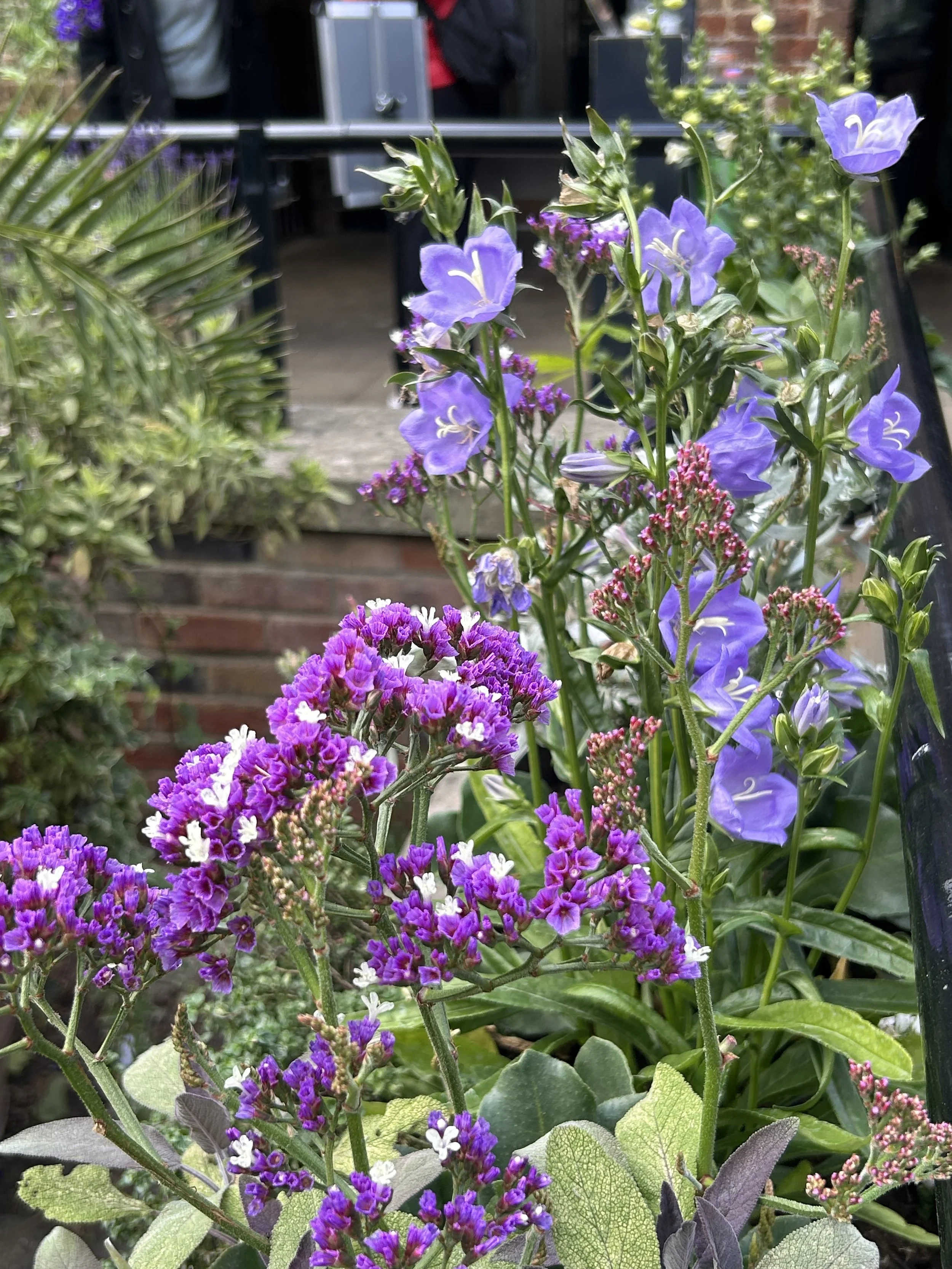 IMG_4676.jpeg