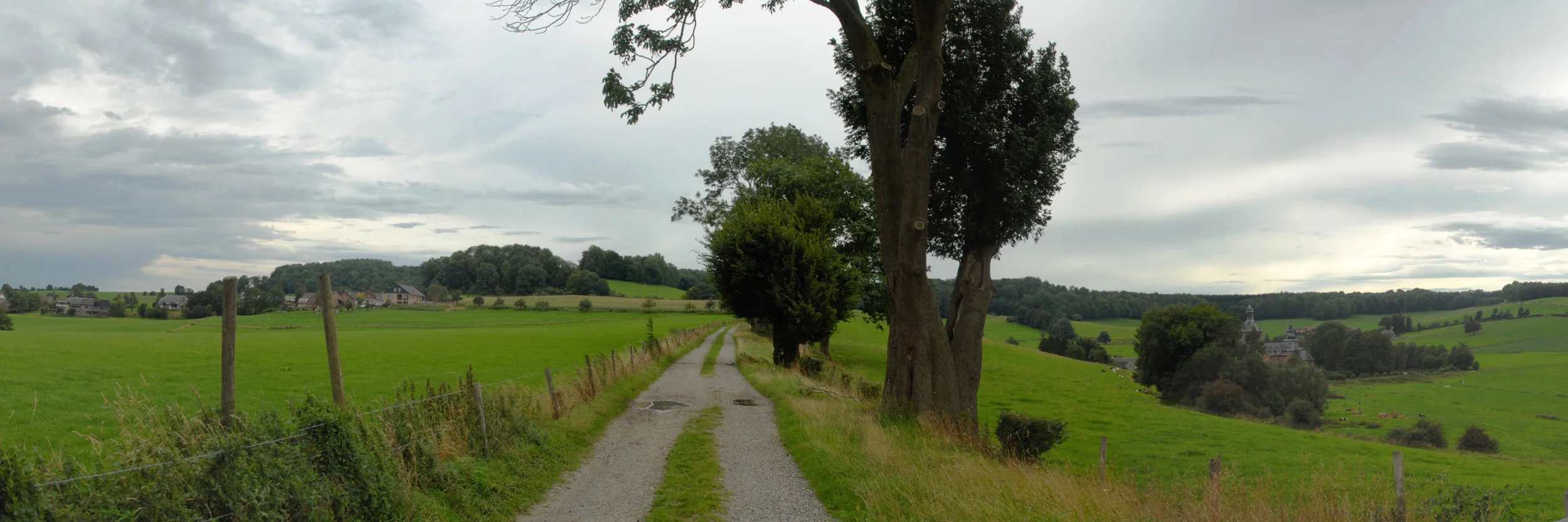 road-1391027.jpg