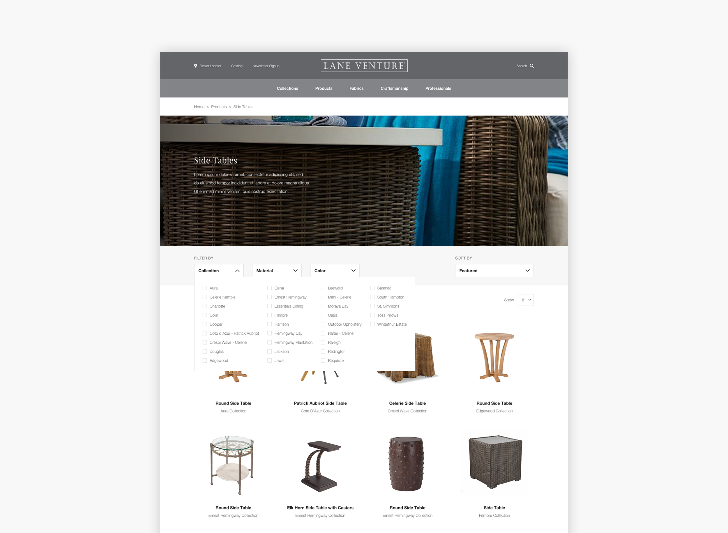 portfolio_LaneVentureLaneVenture_products.png