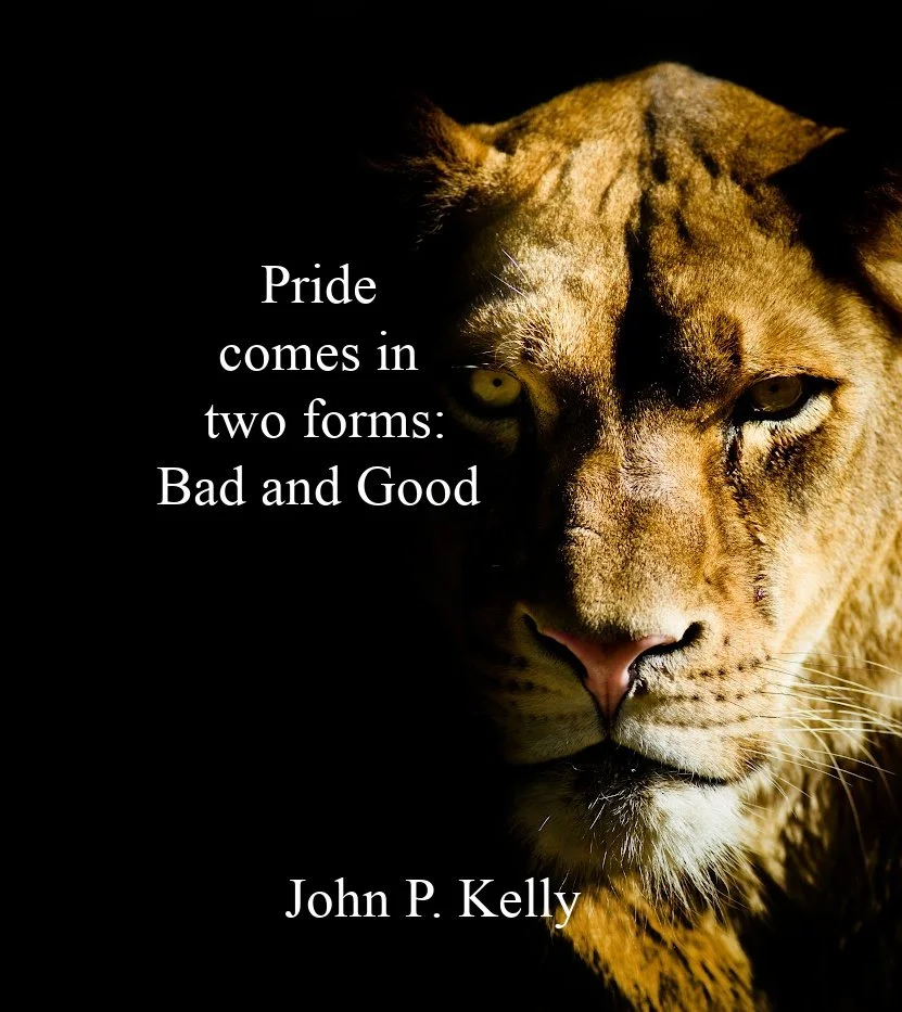 The Good and Bad sides of Pride