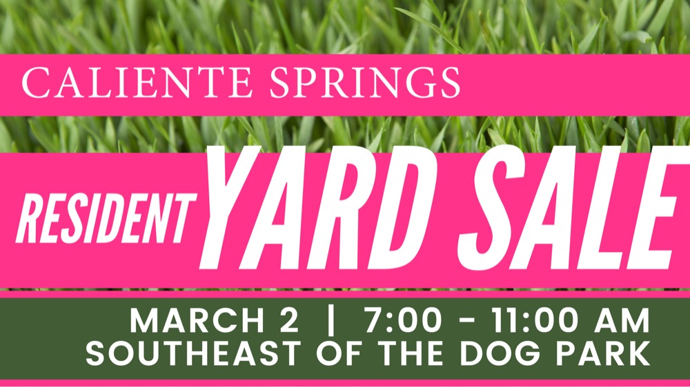 CSSV Mar 2 YARD SALE.jpeg
