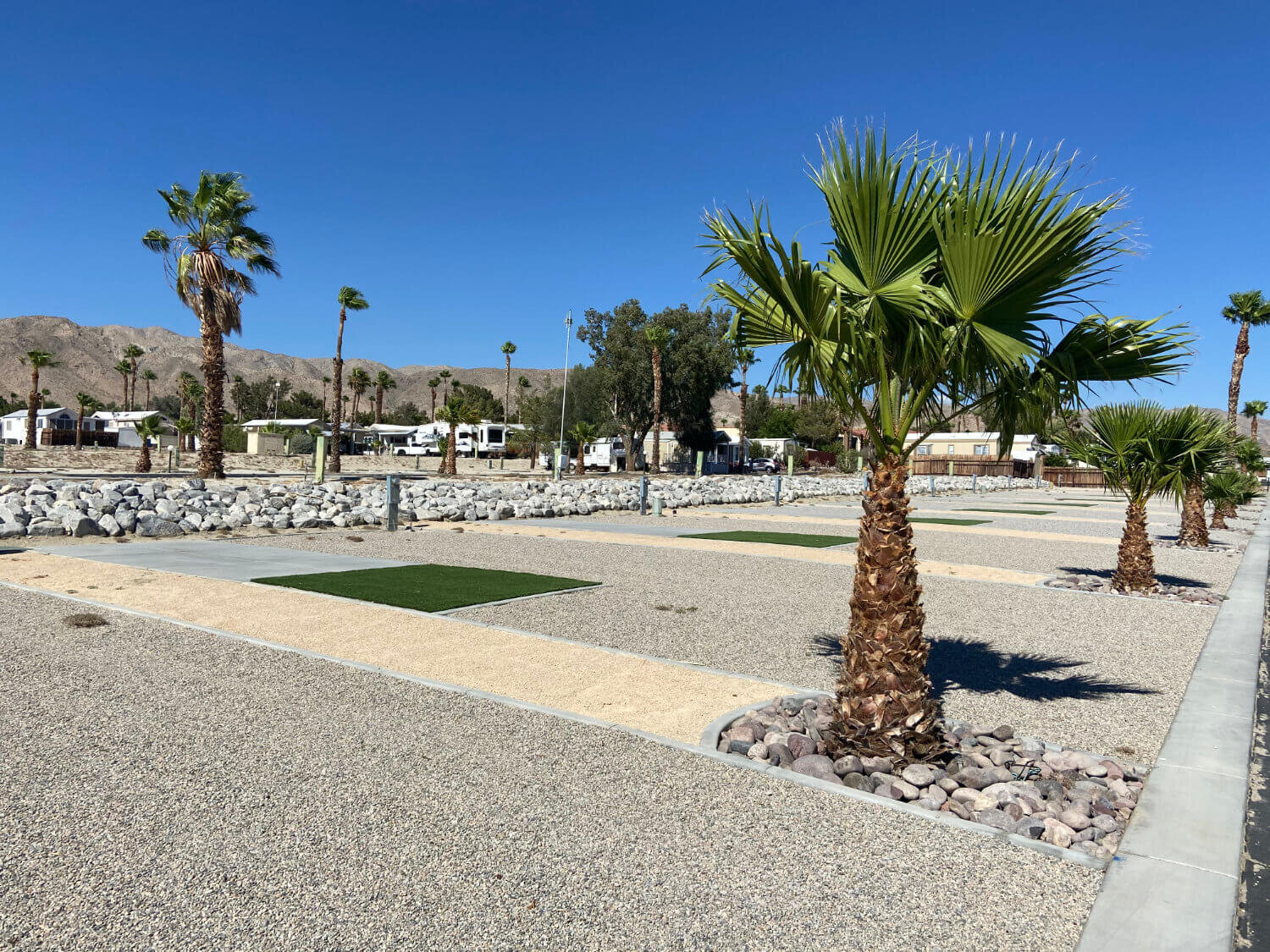 rv-site-with-palm.jpg