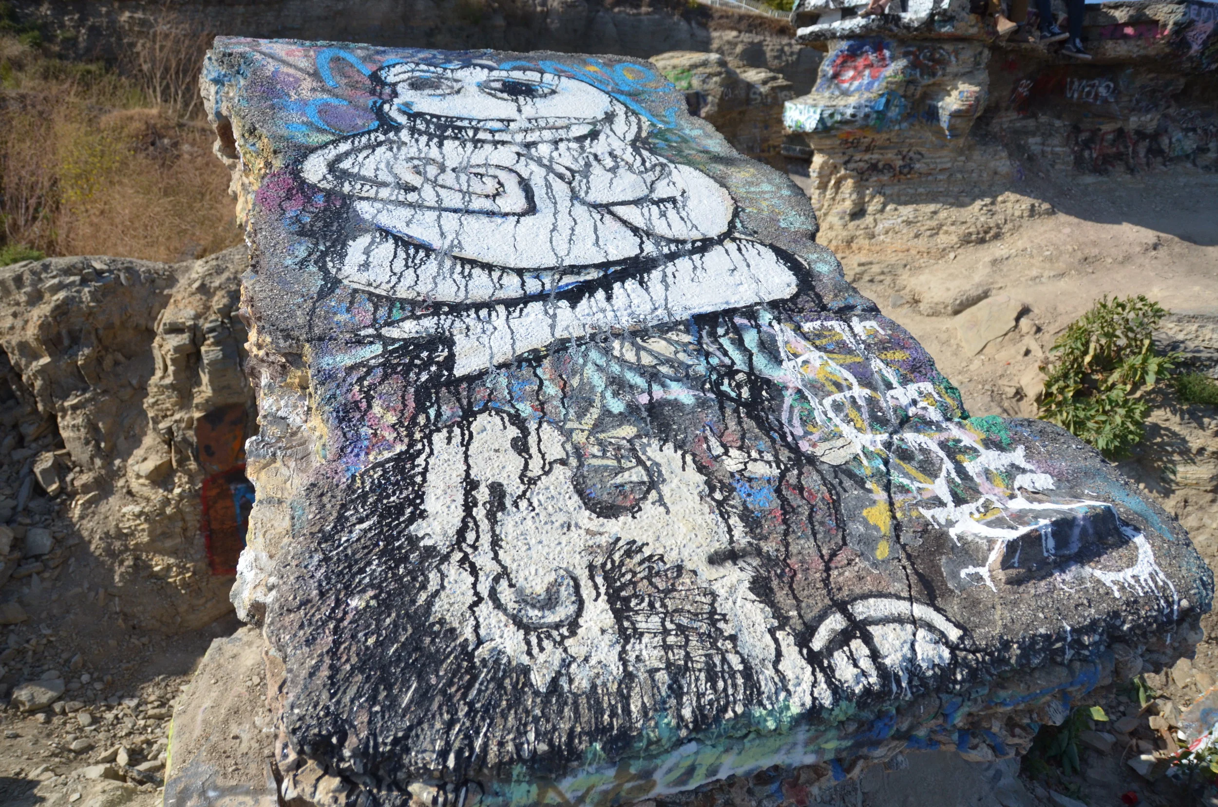  Panel 9: Monkey worshipping Pepe the Frog (from Toba Sojo). 