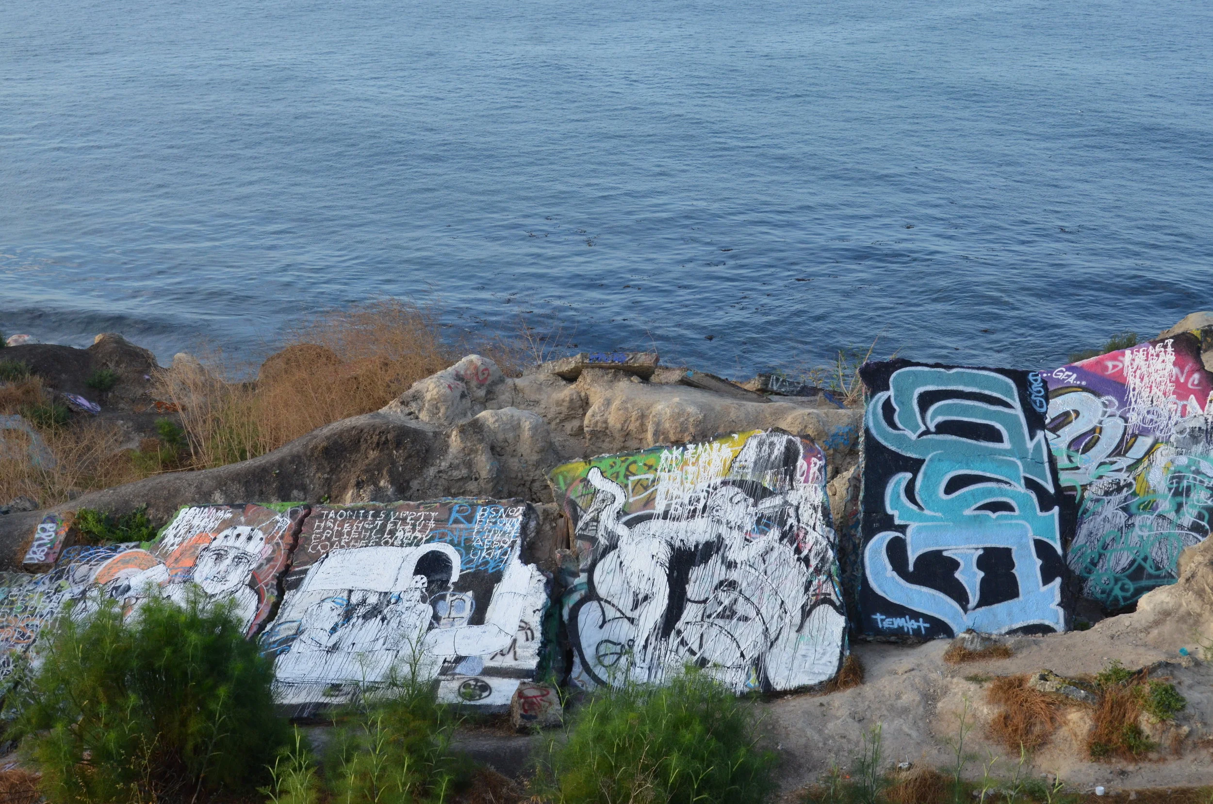 D7K_1551.JPG