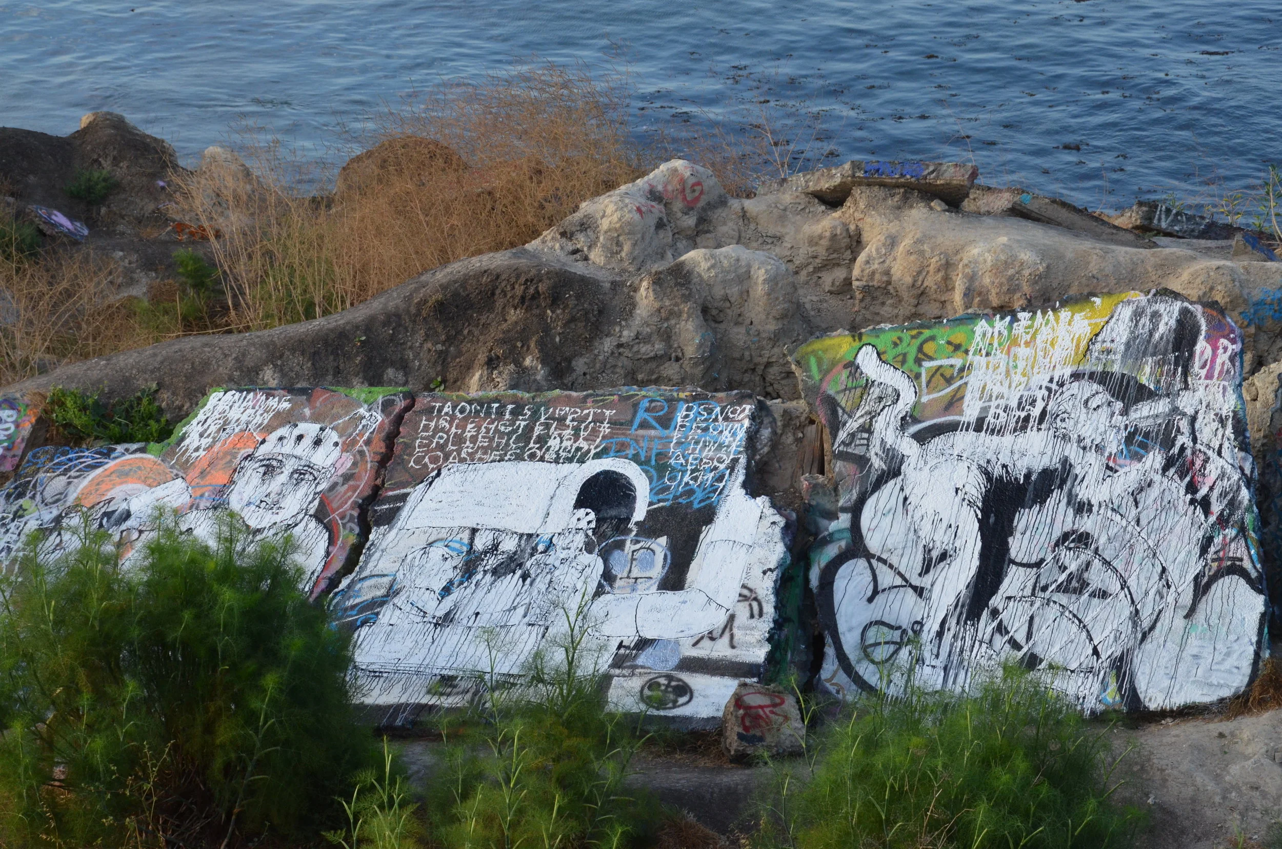 D7K_1552.JPG