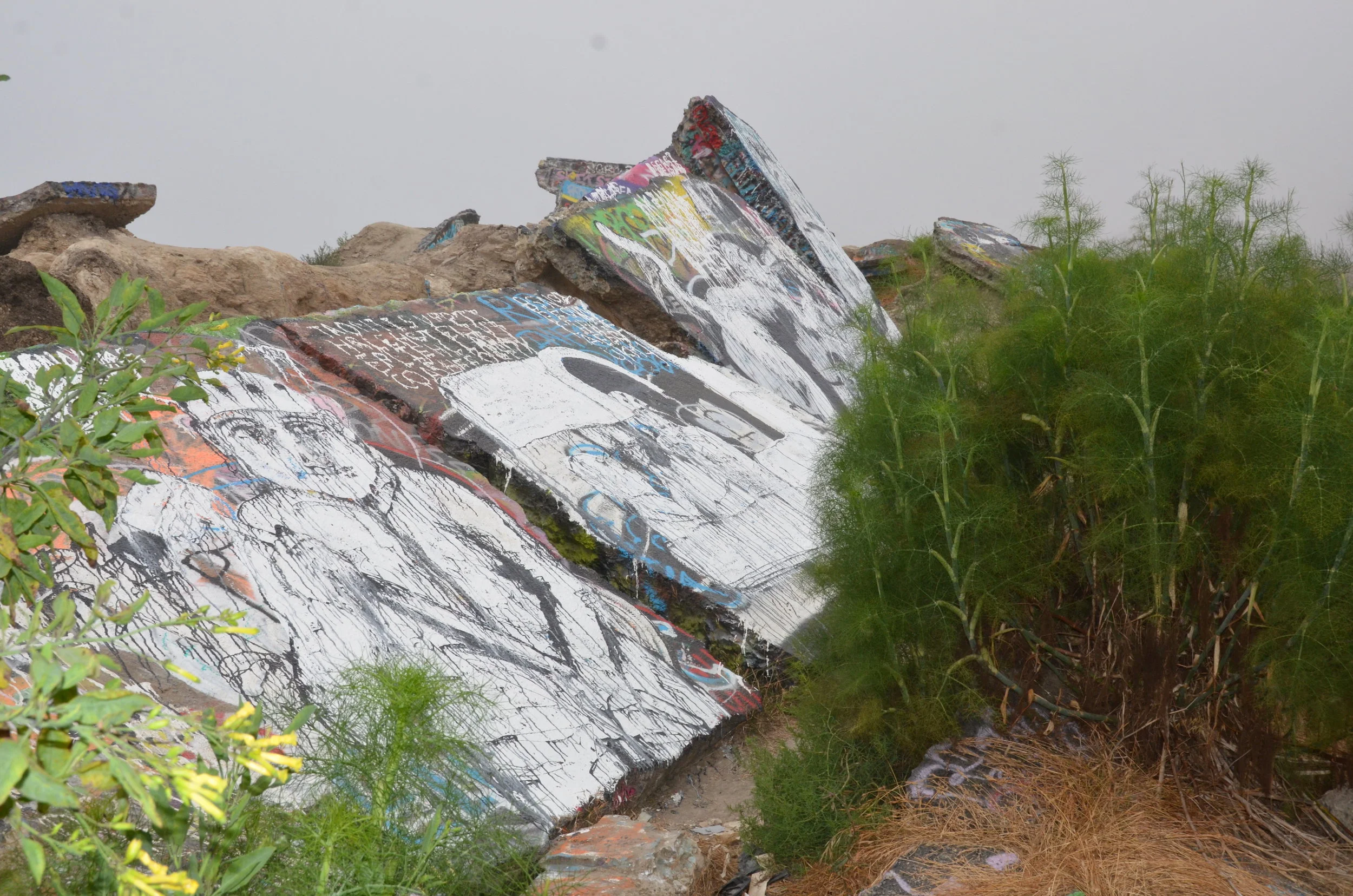 D7K_1684.JPG