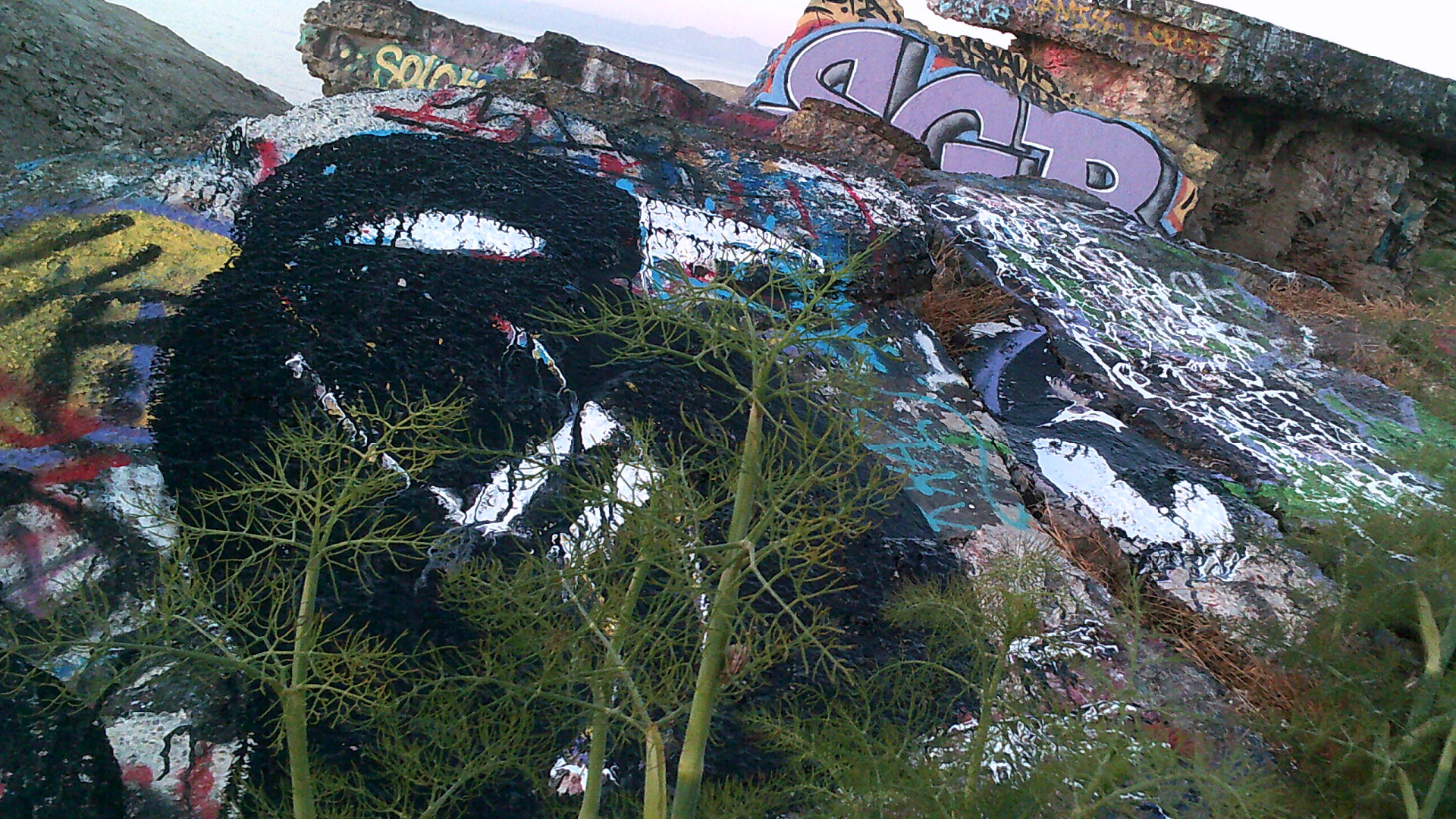  Page 6: I see a penguin and I want to paint it black #gothemperor.     