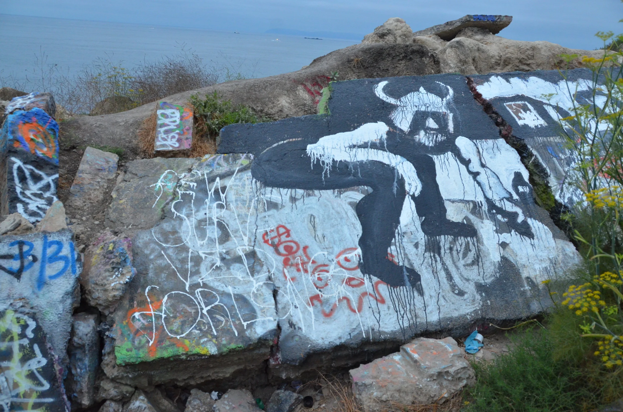   Few Survived for Long   Page 31: The Viking.   