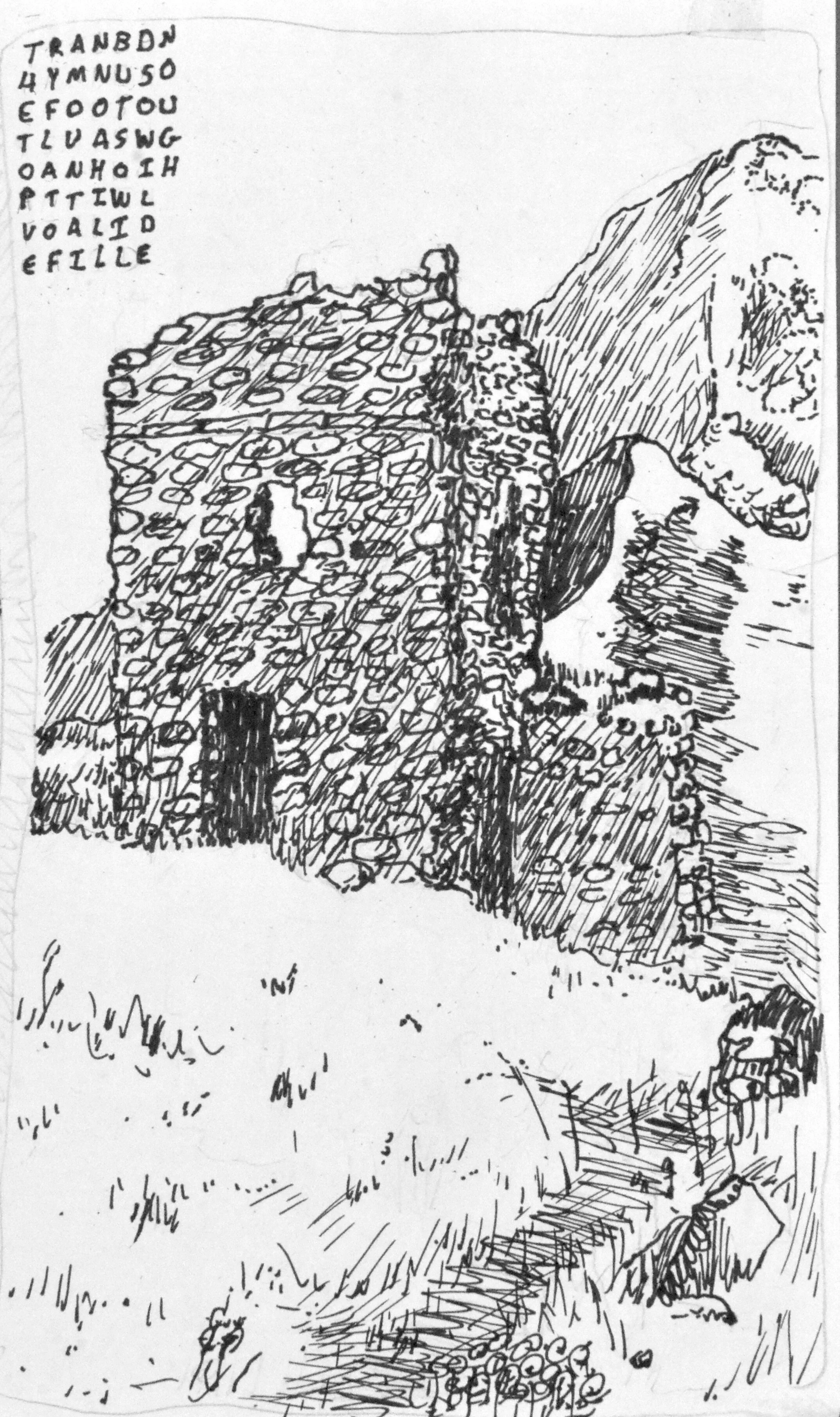  Page 90: The top, very flat, of a mountain, no, a hill, but so wild, so wild, enough.             