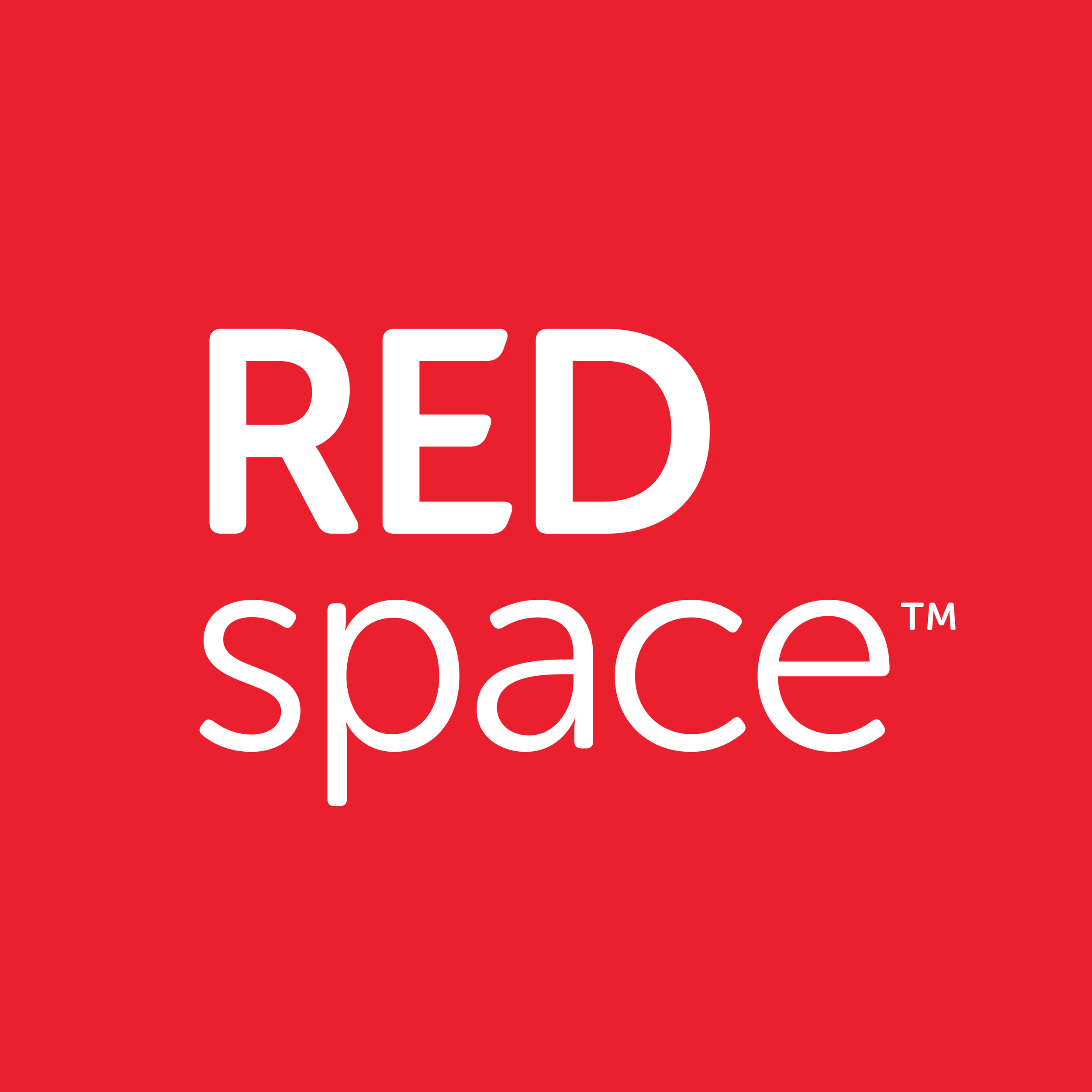 REDspace_logo_STEM (1).png