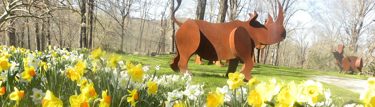Sculpturedale daffodils and rhinos slider.jpg